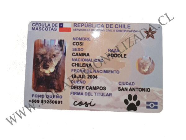 Carnet de Mascotas